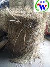 安阳自走式打捆机厂家直销