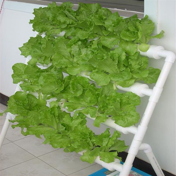 【平面管道水培】价格,厂家,花盆容器