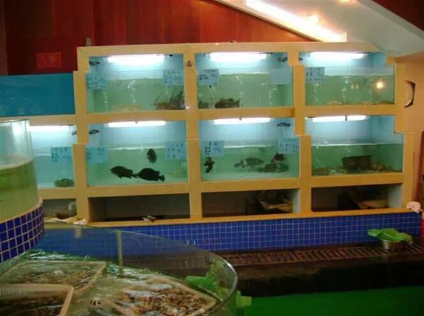 供应海鲜冷冻专卖店海鲜鱼池，海鲜池公司供应海鲜鱼池鲜活水产品